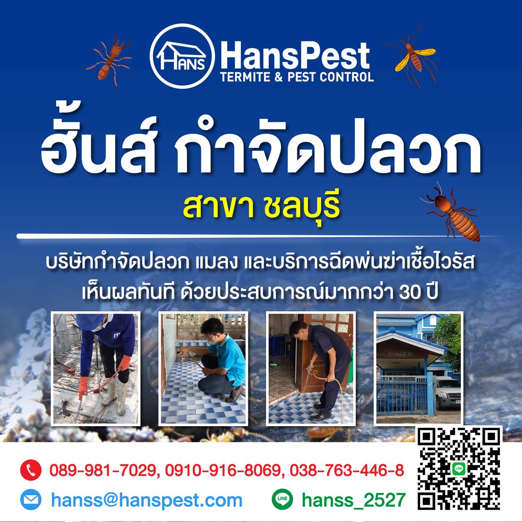 ฮั้นส์ กำจัดปลวก สาขาชลบุรี